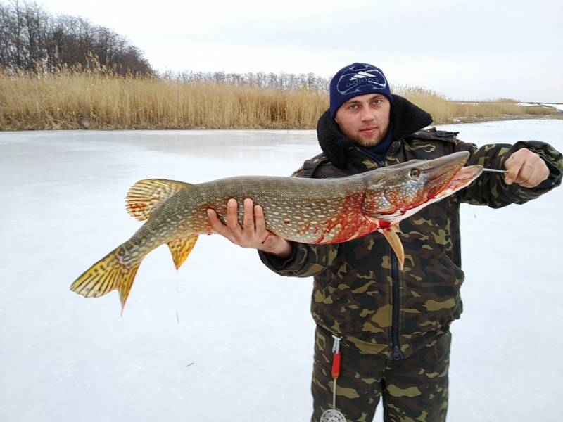 Фотозвіт: Щука. Місце риболовлі: Донецька область