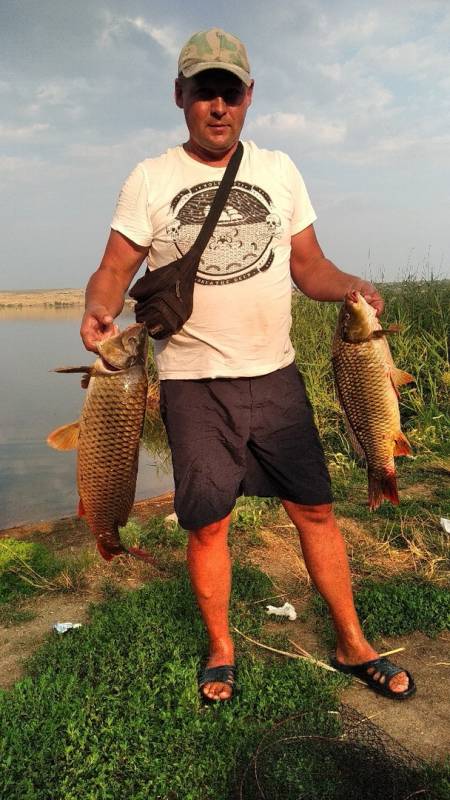 Фотозвіт: Сазан. Місце риболовлі: Донецька область