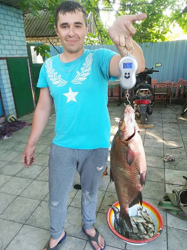 Фотозвіт з риболовлі. Місце: Луганська область