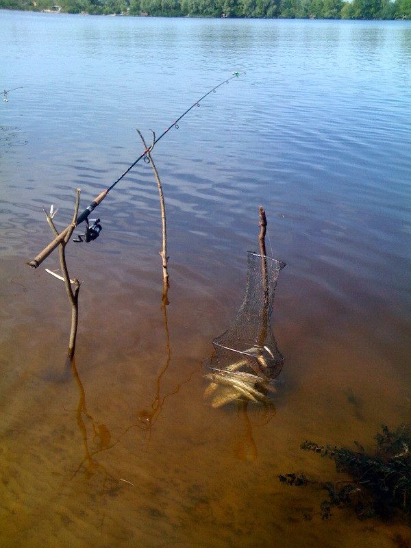 Фотозвіт: Лящ. Місце риболовлі: Канівське водосховище