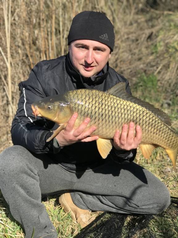 Фотозвіт: Сазан. Місце риболовлі: Здолбунів