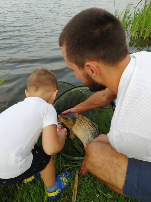 Фотозвіт: Сазан. Місце риболовлі: Рівненська область