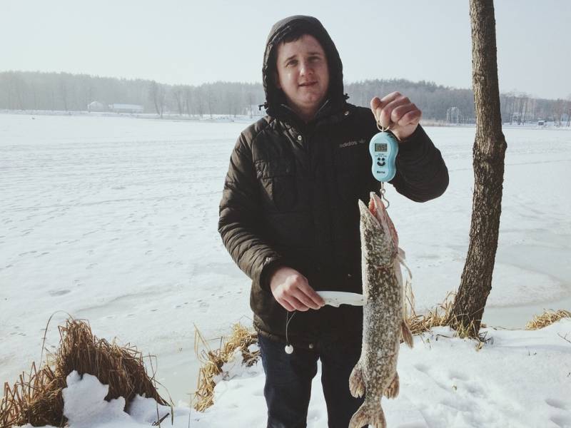 Фотозвіт: Щука. Місце риболовлі: Демидівка