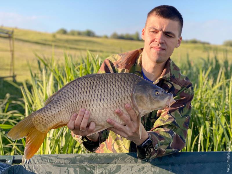 Фотозвіт: Короп. Місце риболовлі: Здолбунів