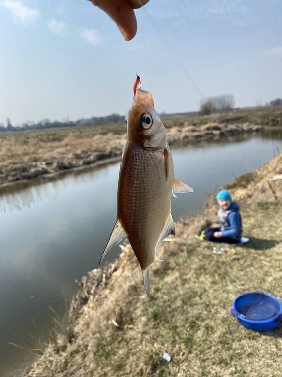 Фотозвіт: Плоскирка. Місце риболовлі: Хрінниківське водосховище