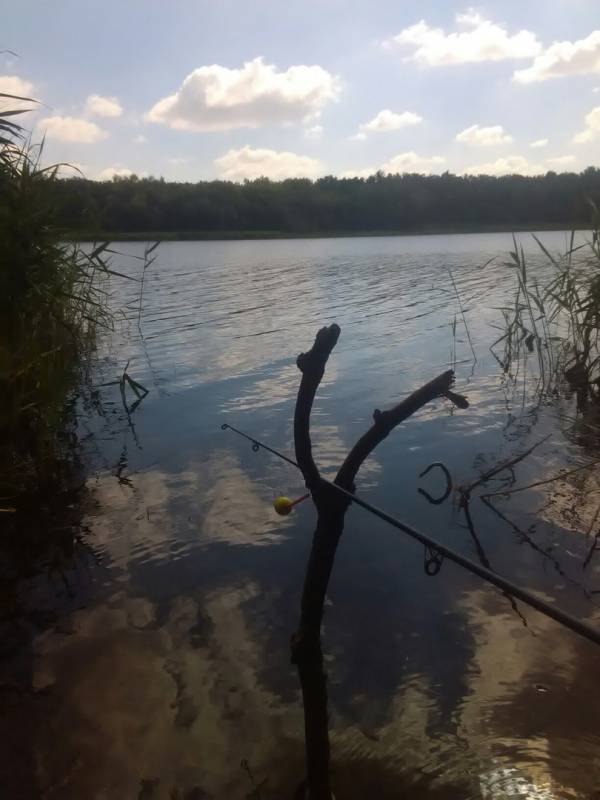 Фотозвіт з риболовлі. Місце: Боковенька