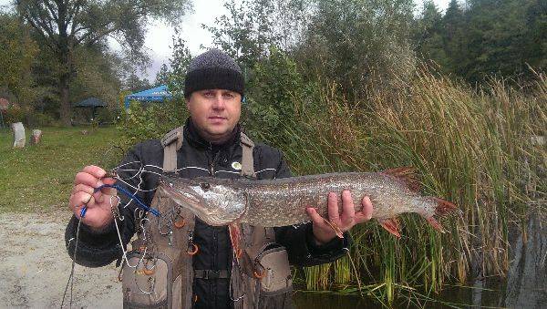 Фотозвіт: Щука. Місце риболовлі: Трофейний