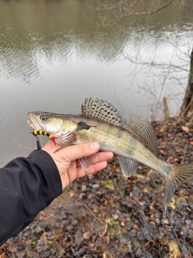 Фотозвіт риболовлі - Південний Буг