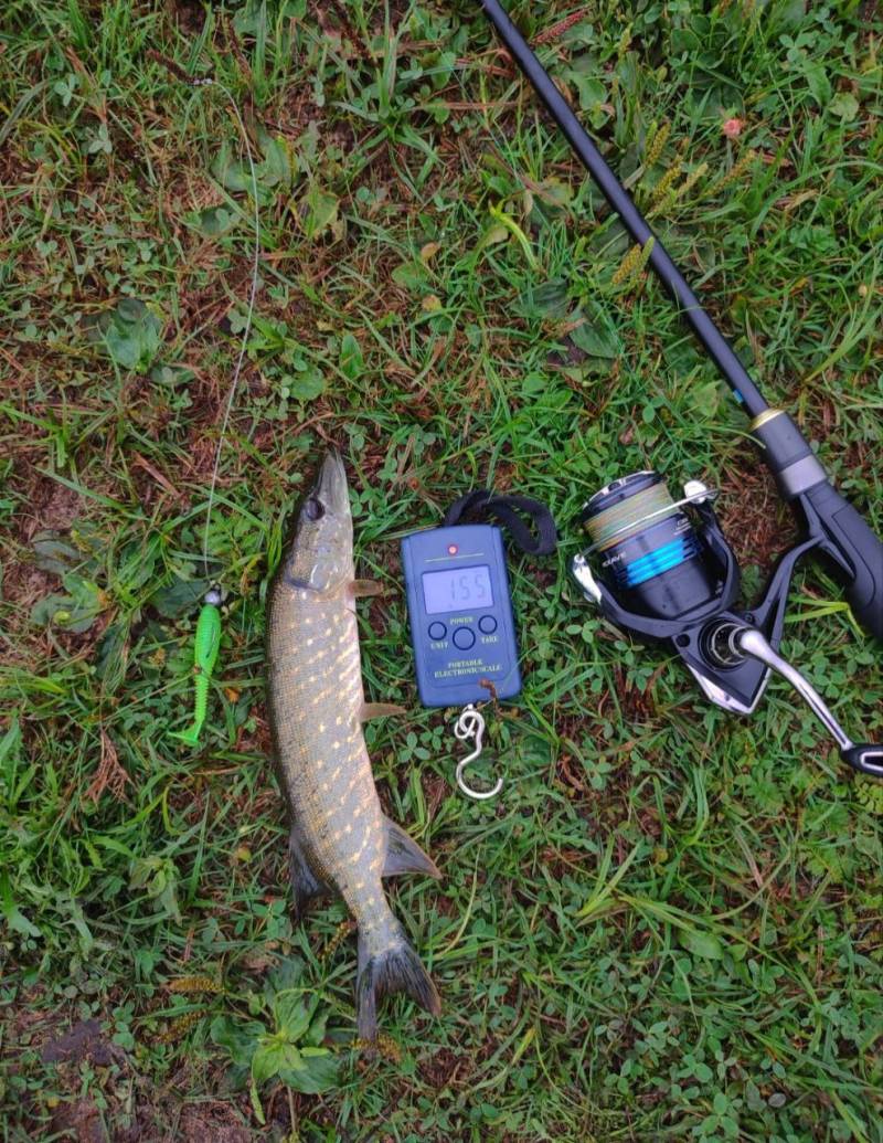 Фотозвіт риболовлі - Лебедин