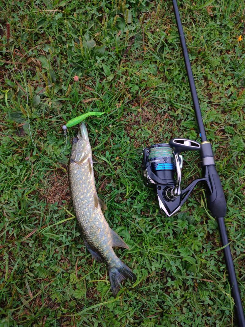 Фотозвіт риболовлі - Лебедин