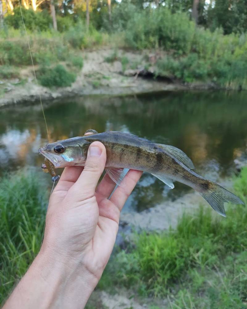 Фотозвіт риболовлі - Лебедин