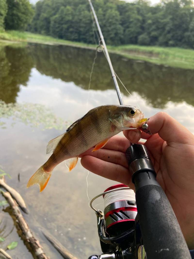 Фотозвіт риболовлі - Самбір