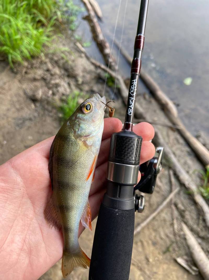Фотозвіт риболовлі - Самбір