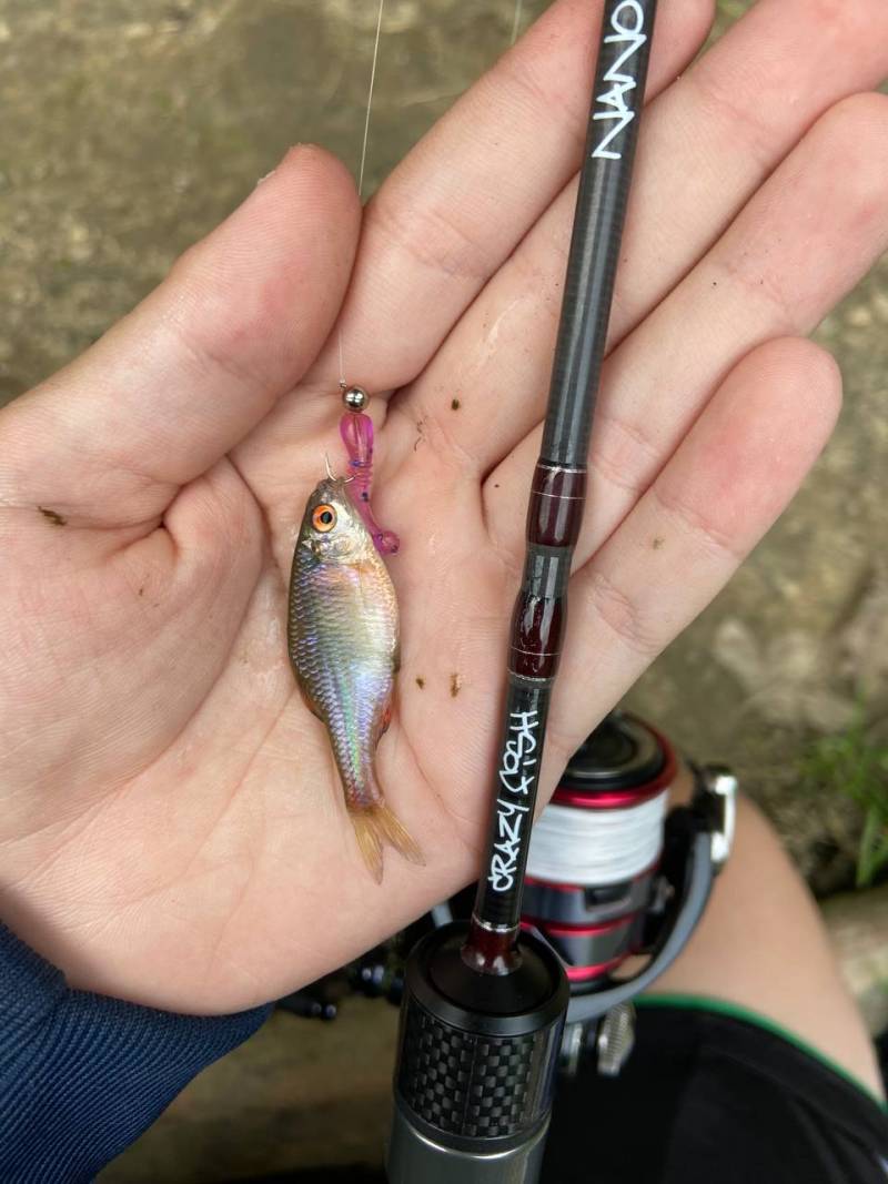 Фотозвіт риболовлі - Самбір