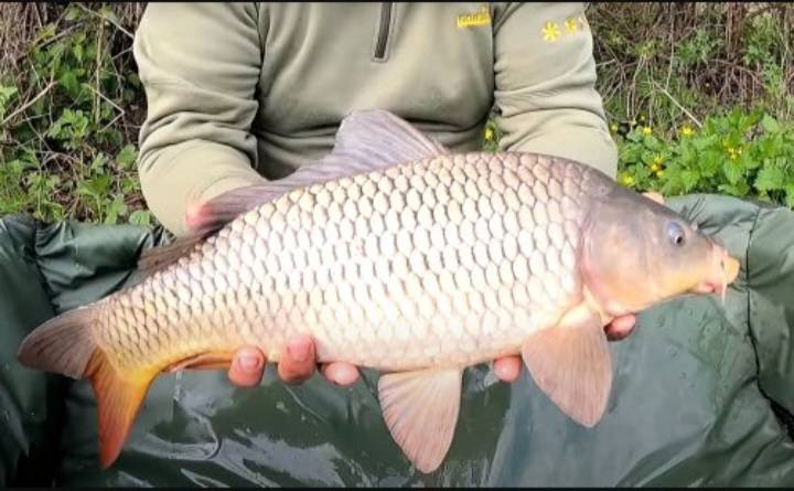 Фотозвіт риболовлі - Сумська область