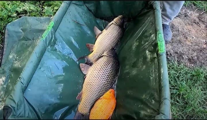 Фотозвіт риболовлі - Сумська область