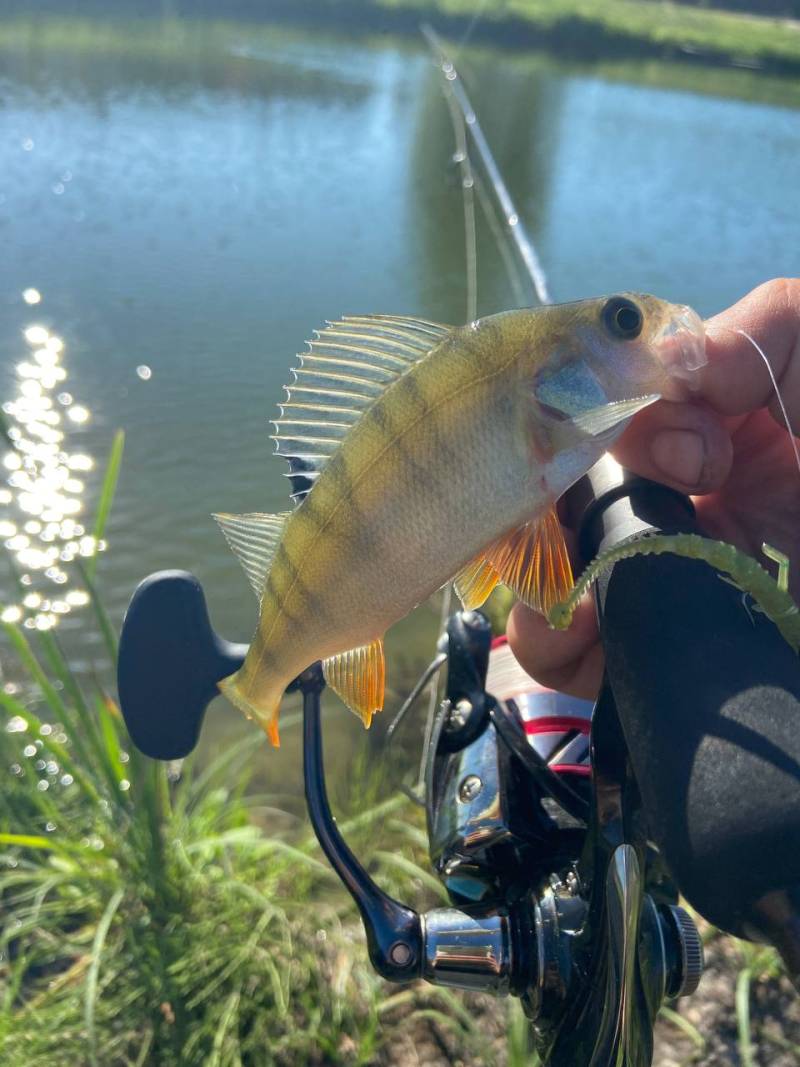 Фотозвіт риболовлі - Бердичів