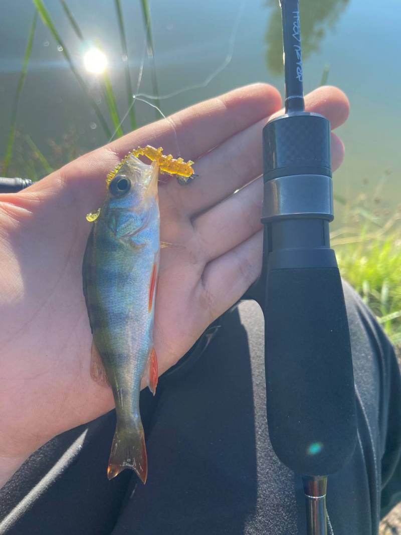 Фотозвіт риболовлі - Бердичів