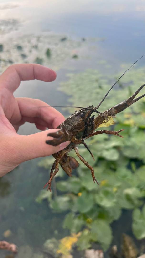 Фотозвіт риболовлі - Вінницька область