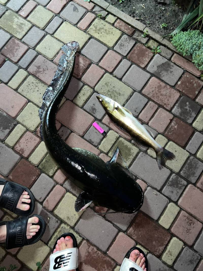 Фотозвіт риболовлі - Київська область