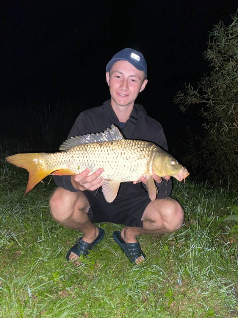 Риболовний звіт по рибі: Короп