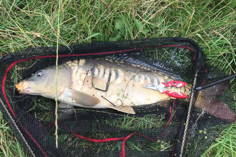 Фотозвіт риболовлі - Закарпатська область