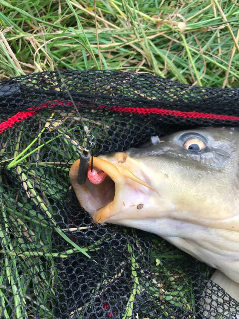 Фотозвіт риболовлі - Закарпатська область
