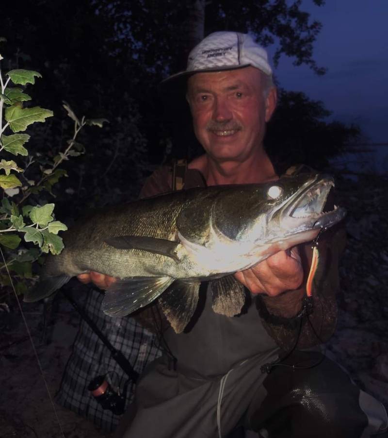 Риболовний звіт по рибі: Звичайний сом