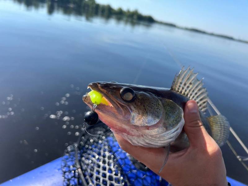 Фотозвіт риболовлі - Київська область
