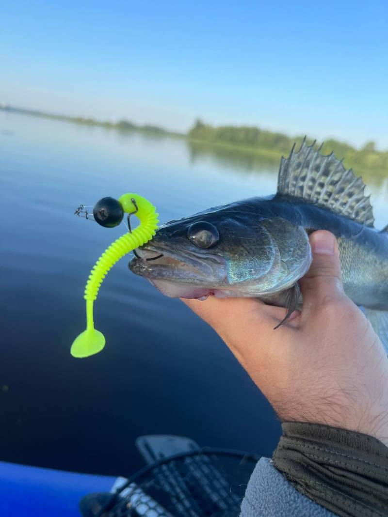 Фотозвіт риболовлі - Київська область