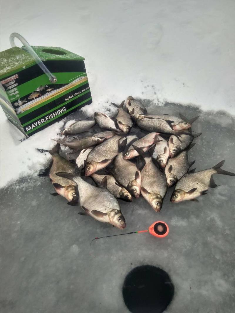 Фотозвіт риболовлі - Україна