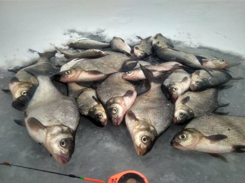 Фотозвіт риболовлі - Україна