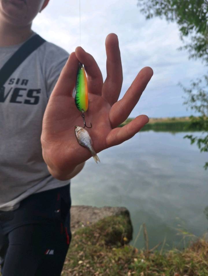 Риболовний звіт по рибі: Гірчак