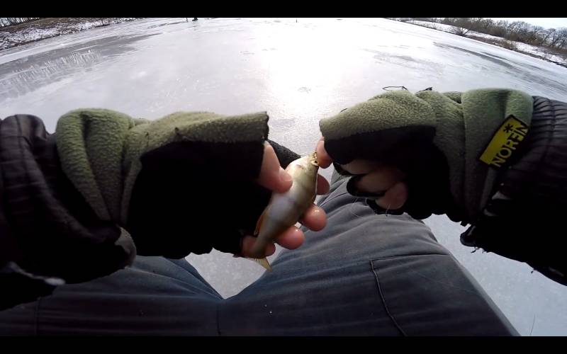 Фотозвіт риболовлі - Сумська область