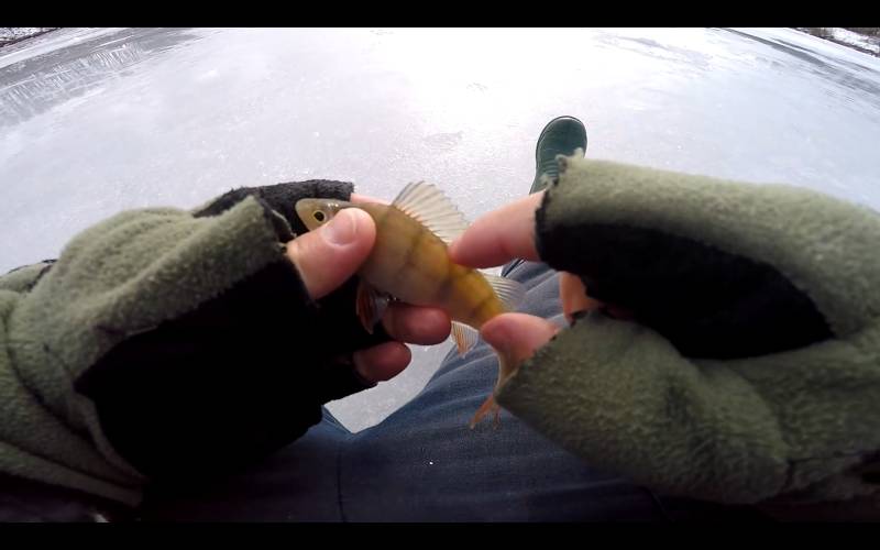 Фотозвіт риболовлі - Сумська область