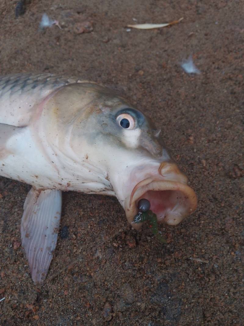 Фотозвіт риболовлі - Кіровоградська область