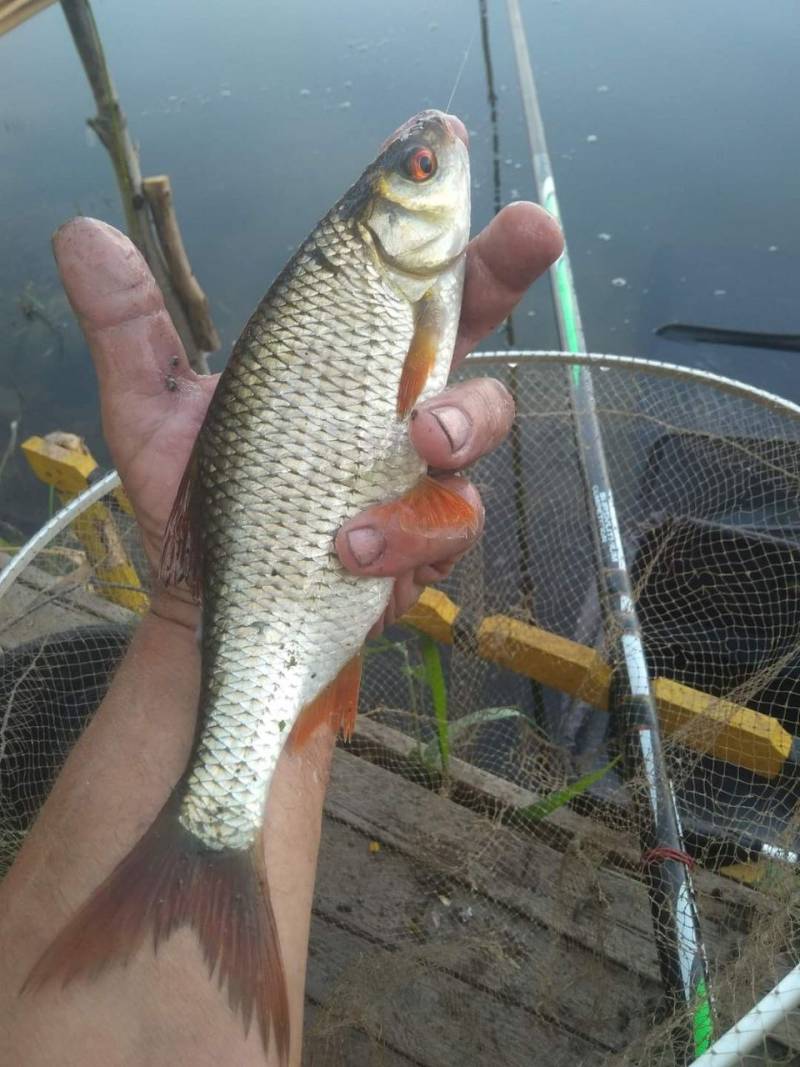 Фотозвіт риболовлі - Україна