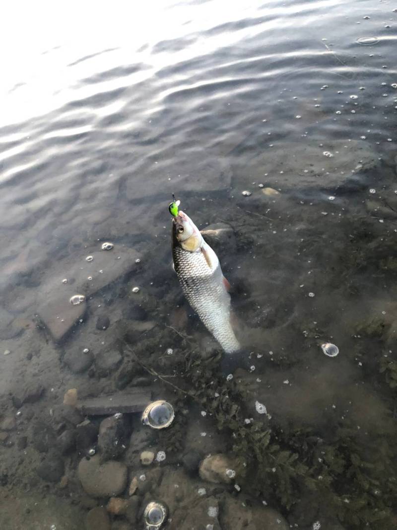 Фотозвіт риболовлі - Україна