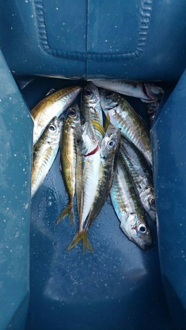 Фотозвіт риболовлі - Україна