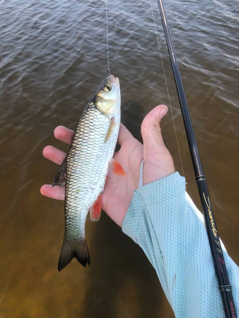 Фотозвіт риболовлі - Україна