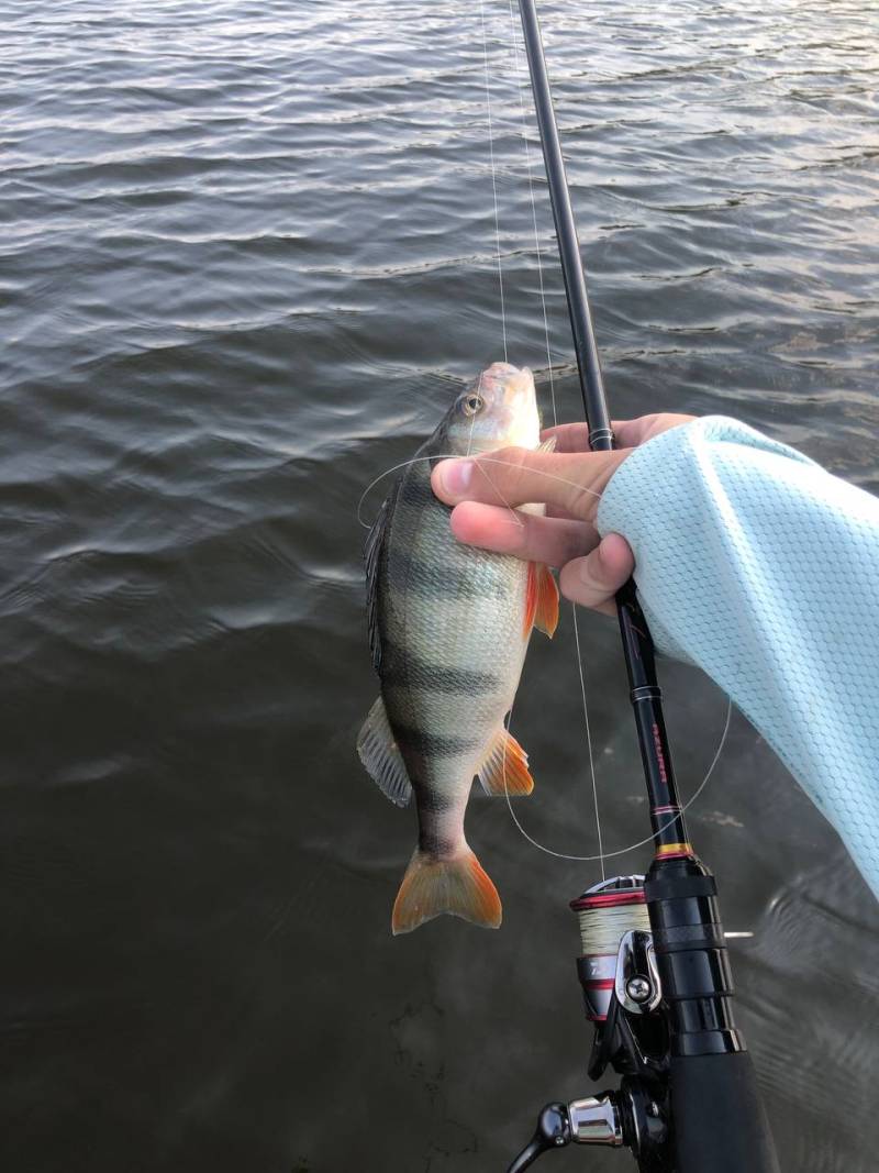 Фотозвіт риболовлі - Україна