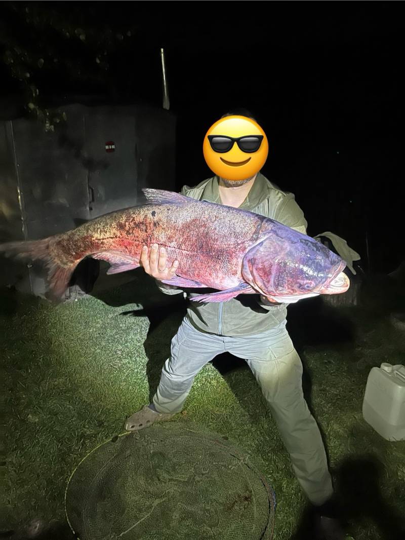 Фотозвіт риболовлі - Україна