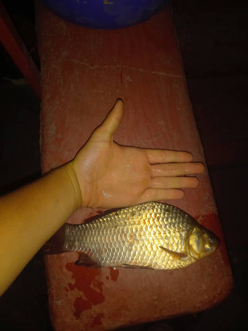 Фотозвіт риболовлі - Україна