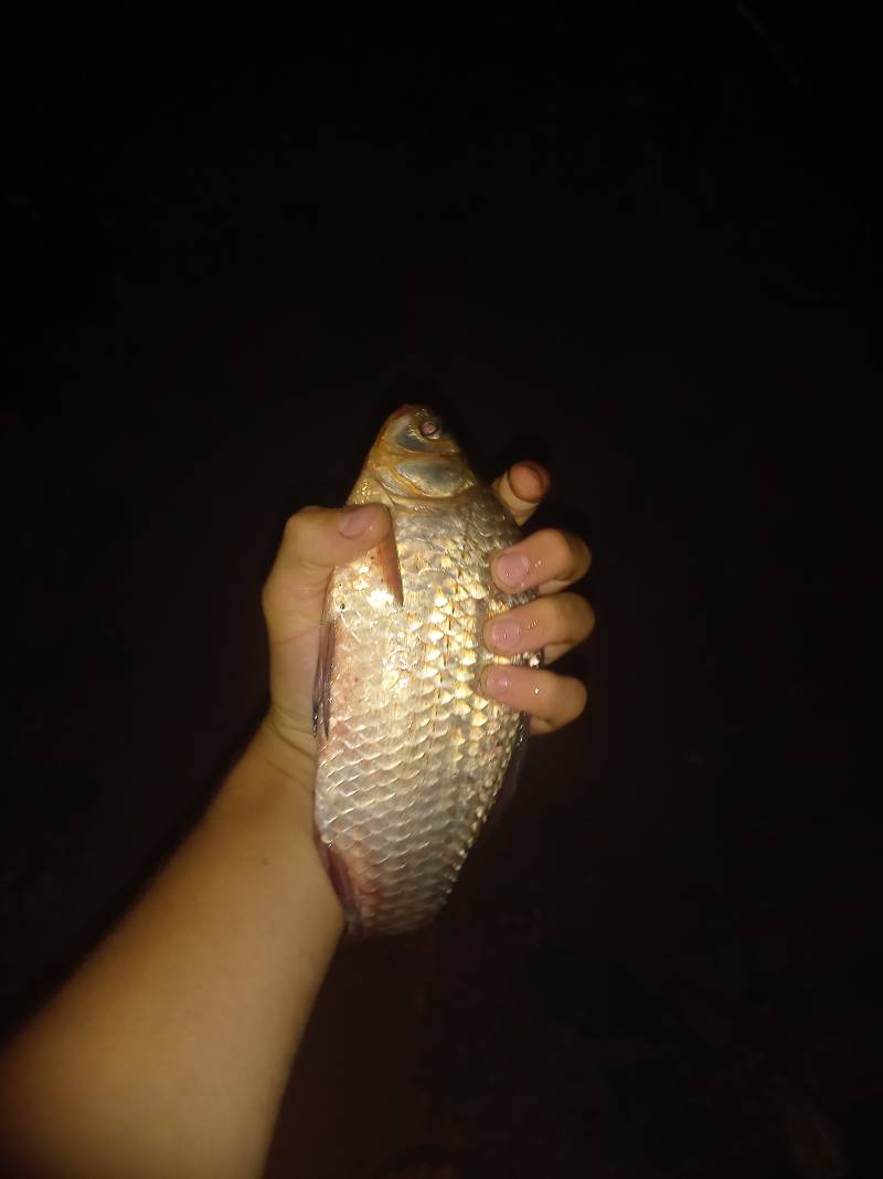 Фотозвіт риболовлі - Україна