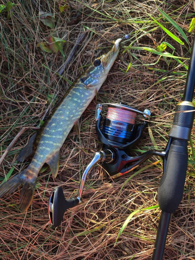 Фотозвіт риболовлі - Рівненська область