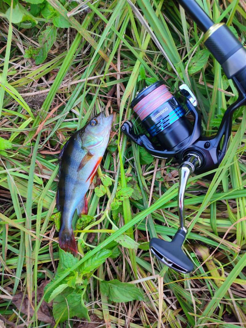 Фотозвіт риболовлі - Рівненська область