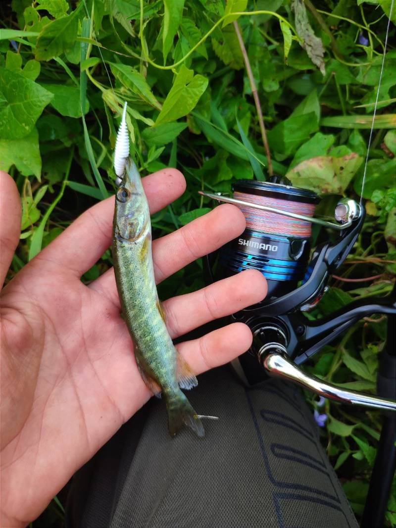 Фотозвіт риболовлі - Рівненська область