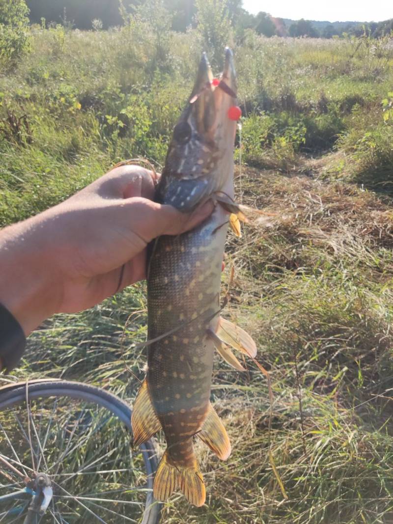 Фотозвіт риболовлі - Полтава