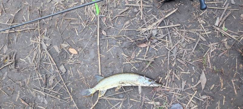 Фотозвіт риболовлі - Сумська область