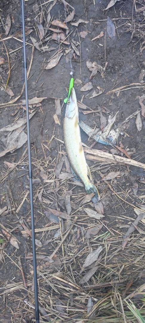 Фотозвіт риболовлі - Сумська область